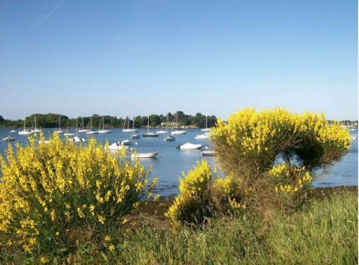 golfe du Morbihan - CANVA.JPG
