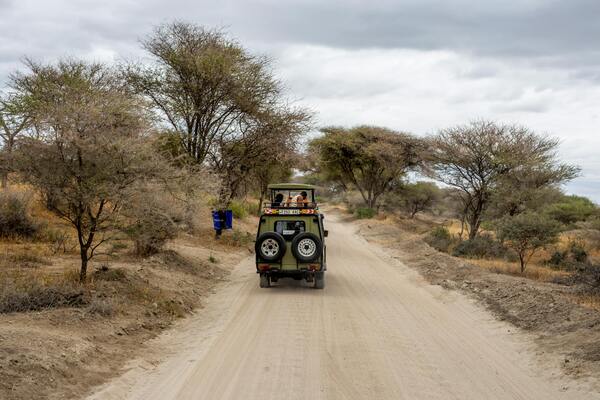 Tanzanie sur mesure